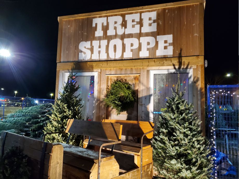 Christmas Trees For Sale in Okotoks