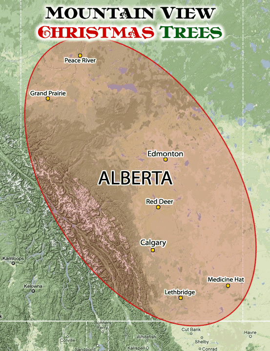 Wholesale Christmas Tree Delivery Map